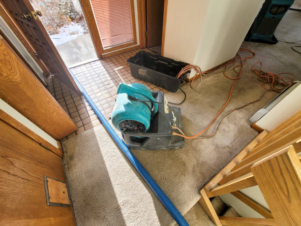 Best Flood damage cleanup  in Tano Road, NM