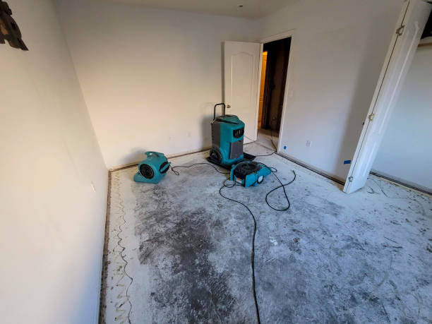 Best 24-hour water damage restoration  in Tano Road, NM