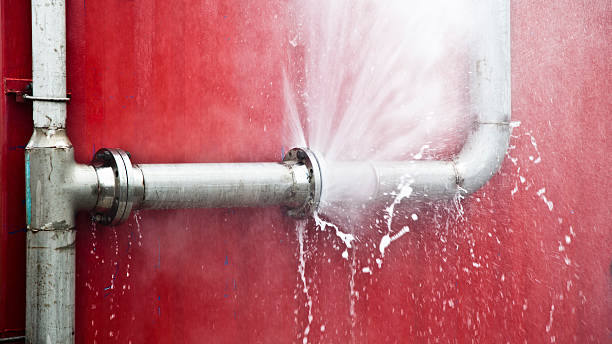 Best Water damage restoration near me  in Tano Road, NM